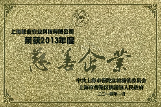 2013年度慈善企業